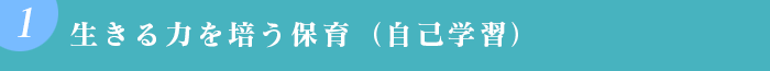 生きる力を培う保育 （自己学習）