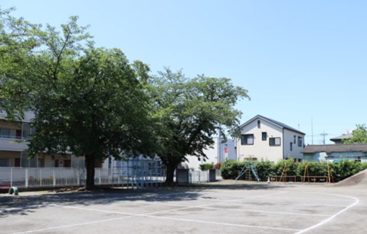 広々とした園庭